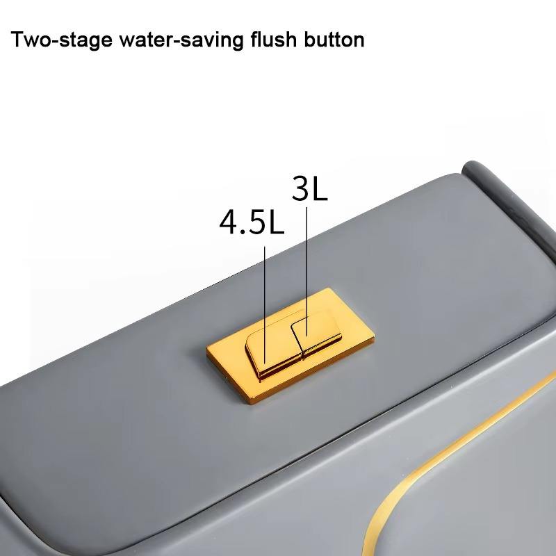 Modernes Dual-Flush-Einteiler- – Home One Bathroom Accessories Bewertung und Preis