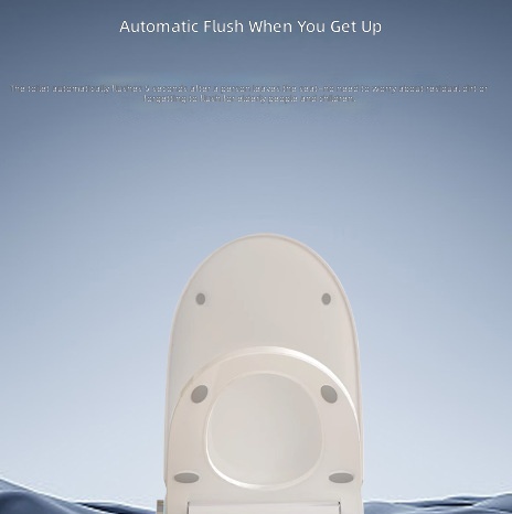 Beheizbarer Intelligenter Toil – Home Bathroom Bewertung und Preis